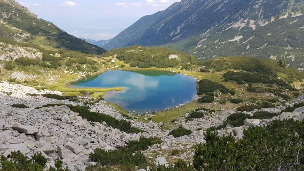 Pirina Club Hotel Bansko Ngoại thất bức ảnh