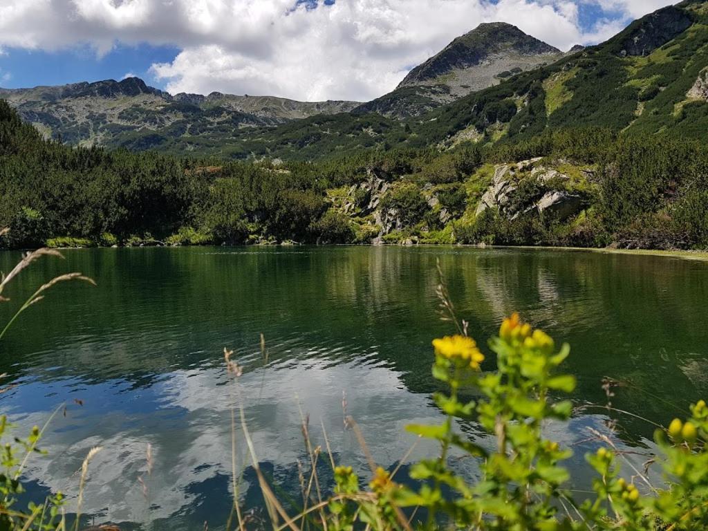 Pirina Club Hotel Bansko Ngoại thất bức ảnh