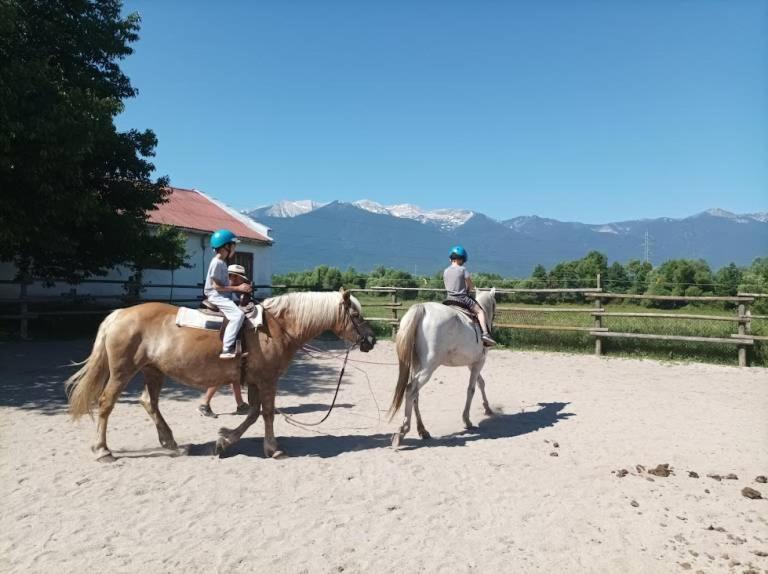 Pirina Club Hotel Bansko Ngoại thất bức ảnh